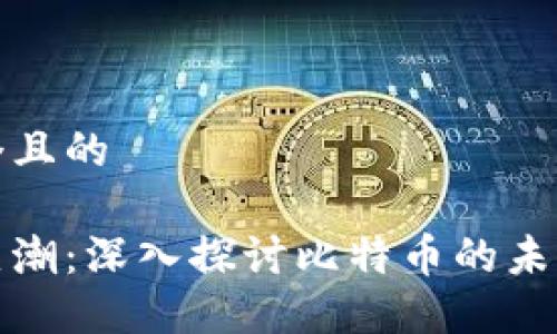 思考一个且的

区块链热潮：深入探讨比特币的未来与影响