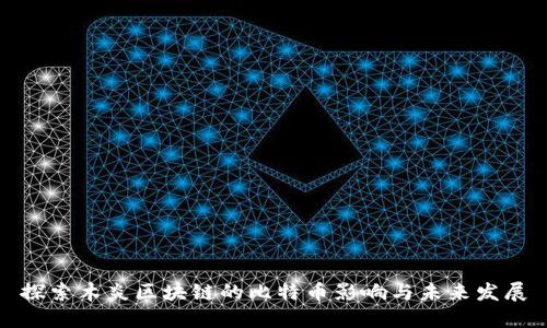 探索木炎区块链的比特币影响与未来发展