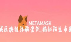 最新同城区块链诈骗案例，揭秘陌生币圈的暗潮