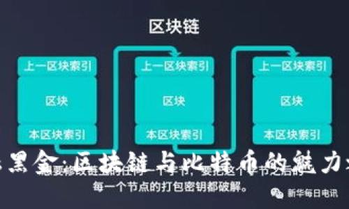金融黑金：区块链与比特币的魅力之旅