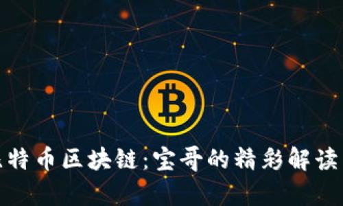 深入剖析比特币区块链：宝哥的精彩解读与实践经验