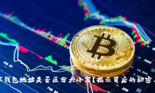 TP数字钱包地址是否区分大小写？揭示背后的秘密与影响