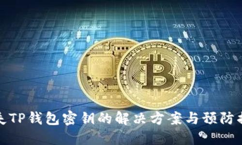 丢失TP钱包密钥的解决方案与预防措施