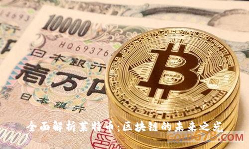 全面解析莱特币：区块链的未来之光