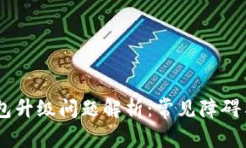 ## TP钱包升级问题解析：常见障碍与解决方案