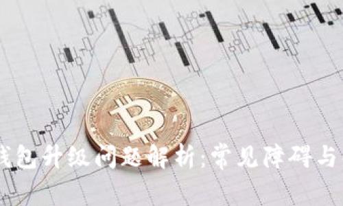 ## TP钱包升级问题解析：常见障碍与解决方案