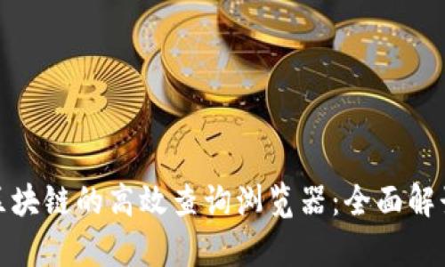 探索泰达币区块链的高效查询浏览器：全面解读与实用技巧