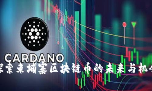 探索柬埔寨区块链币的未来与机会