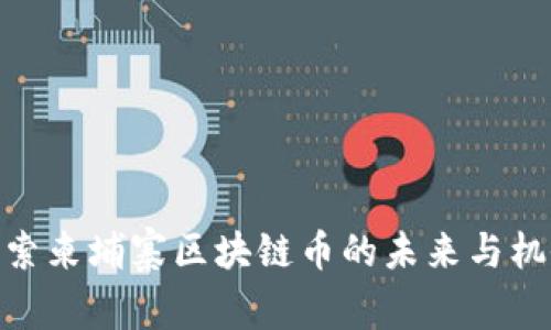 探索柬埔寨区块链币的未来与机会