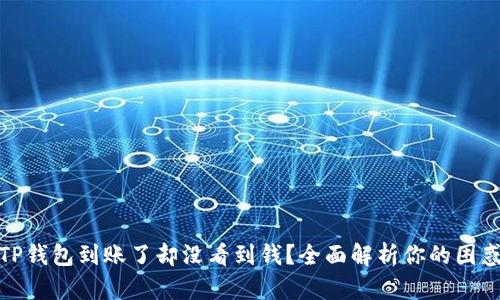 TP钱包到账了却没看到钱？全面解析你的困惑