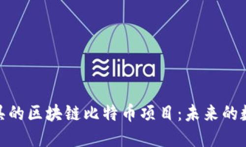 探索匠心独具的区块链比特币项目：未来的数字资产之路