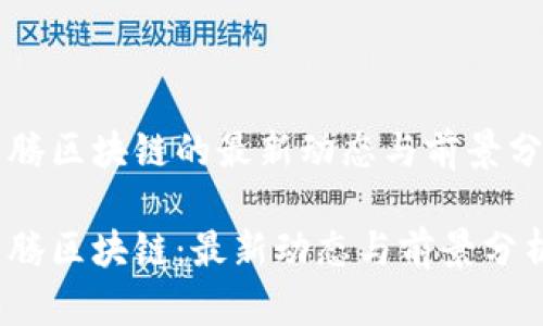 飞腾区块链的最新动态与前景分析

飞腾区块链：最新动态与前景分析