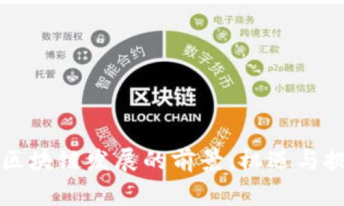 柬埔寨区块链发展的前景：机遇与挑战并存