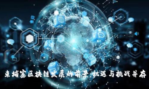 柬埔寨区块链发展的前景：机遇与挑战并存