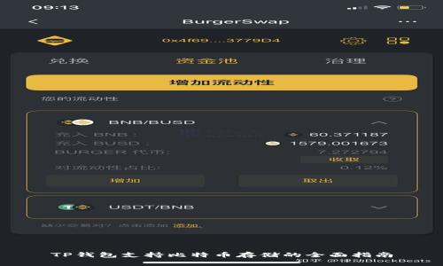 TP钱包支持比特币存储的全面指南