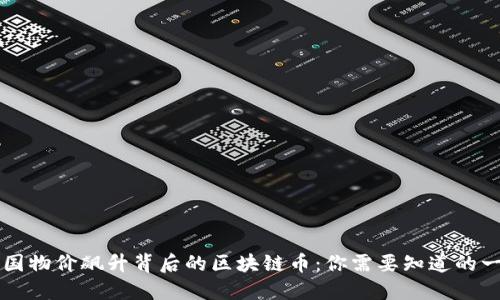 美国物价飙升背后的区块链币：你需要知道的一切