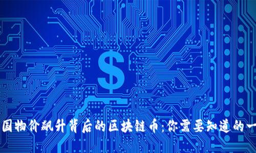 美国物价飙升背后的区块链币：你需要知道的一切