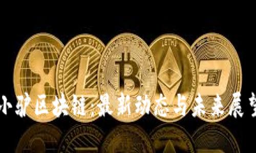 小驴区块链：最新动态与未来展望