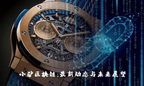 小驴区块链：最新动态与未来展望
