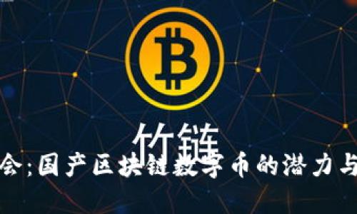 探索新机会：国产区块链数字币的潜力与未来发展