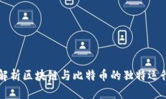 深入解析区块链与比特币的独特运行模式