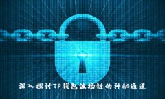 深入探讨TP钱包波场链的神秘通道