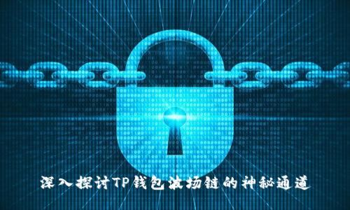 深入探讨TP钱包波场链的神秘通道