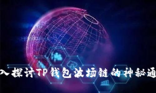 深入探讨TP钱包波场链的神秘通道