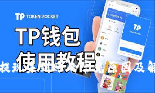 TP钱包提现未到账的常见原因及解决方法