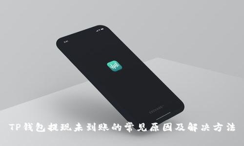 TP钱包提现未到账的常见原因及解决方法