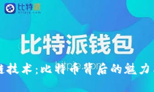 区块链技术：比特币背后的魅力与挑战
