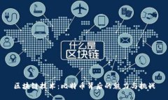 区块链技术：比特币背后的魅力与挑战