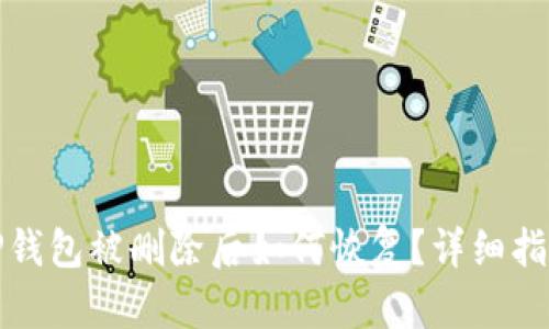 TP钱包被删除后如何恢复？详细指南