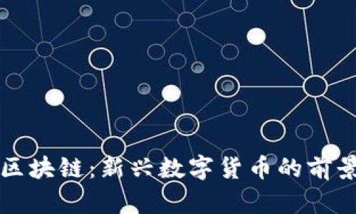 猫力币区块链：新兴数字货币的前景与挑战