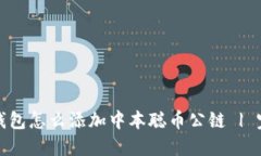 优质biastp钱包怎么添加中本聪币公链 | 完整指南