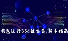 如何高效使用TP钱包进行BSC链交易：新手指南与常