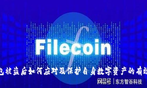 TP钱包被盗后如何应对及保护自身数字资产的有效措施