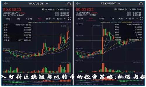 深入分析区块链与比特币的投资策略：机遇与挑战