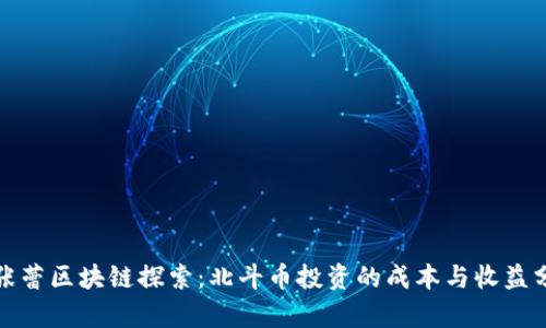 : 张蕾区块链探索：北斗币投资的成本与收益分析