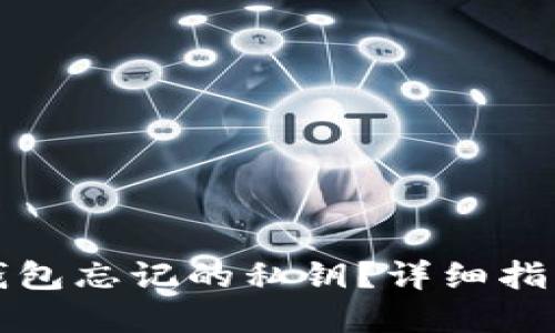 如何找回TP钱包忘记的私钥？详细指南与解决方案