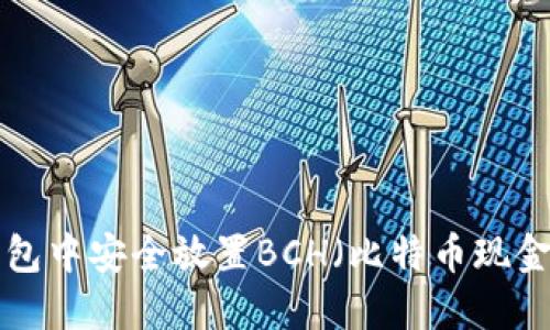 如何在TP钱包中安全放置BCH（比特币现金）：全面指南