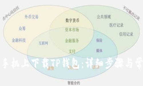 如何在苹果手机上下载TP钱包：详细步骤与常见问题解答