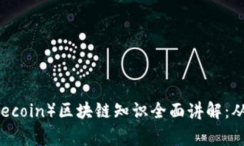 狗狗币（Dogecoin）区块链知识全面讲解：从起源到应用