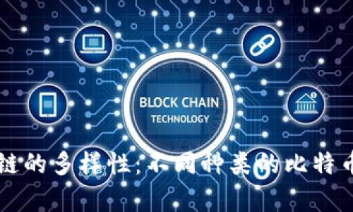 比特币区块链的多样性：不同种类的比特币区块链解析