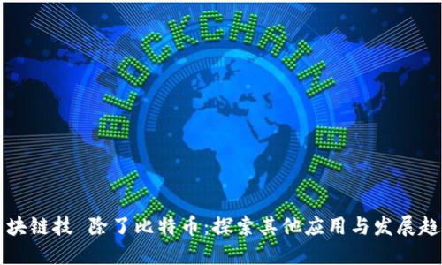 区块链技 除了比特币：探索其他应用与发展趋势