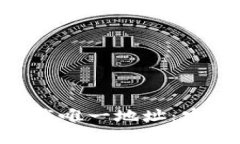 TP钱包APP官方下载唯一地址：安全下载及使用指南