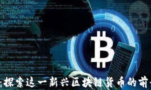 
BOBX币：探索这一新兴区块链货币的前景与潜力