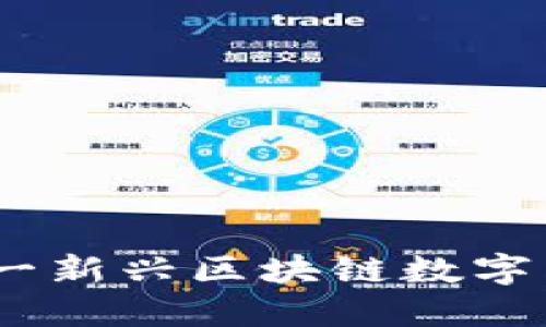 沙币：深入了解这一新兴区块链数字货币的魅力与挑战