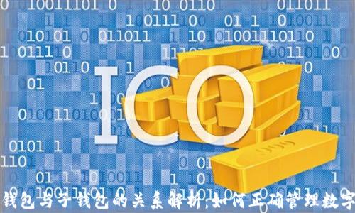 
TP母钱包与子钱包的关系解析：如何正确管理数字资产