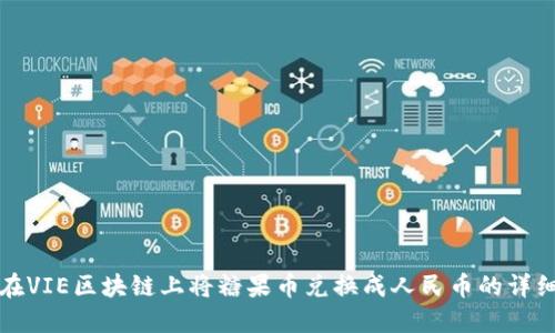 如何在VIE区块链上将糖果币兑换成人民币的详细指南